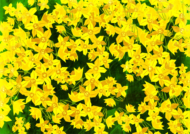 Daffodil Background
